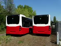 Zwei neue Mercedes Benz Citaro C2 (Euro6) von hinten am 24.04.15 bei Evo Bus in Mannheim durch den Zaun fotografiert