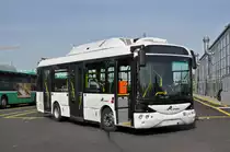Nun ist der Zweite elektro Testbus bei der BVB eingetroffen. Es handelt sich um einen RAMPINI Type ALE EL aus Italien. Hier steht der Bus auf dem Hof der Garage Rankstrasse. Die Aufnahme stammt vom 12.05.2015.