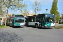 Abgestellte Busse der VIP am Hauptbahnhof in Potsdam. Aufgenommen wurde P-AV 975 und P-AV 945 (Mercedes Benz Citaro Facelift / Mercedes Benz Citaro) am 01.05.2015.
