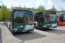 Am 01.05.2015 steht P-AV 979 + P-AV 962 auf dem Bassinplatz in Potsdam. Aufgenommen wurde ein Mercedes Benz Citaro und Mercedes Benz Citaro Facelift.
