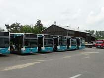 Fünf SVM Mercedes Benz Citaro C1 Facelift am 24.05.15 in Maintal beim Tag der Offenen Tür 