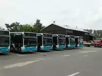 Fünf SVM Mercedes Benz Citaro C1 Facelift am 24.05.15 in Maintal beim Tag der Offenen Tür 