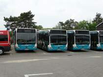 Drei SVM Mercedes Benz Citaro C1 Facelift am 24.05.15 in Maintal beim Tag der Offenen Tür