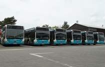 Sechs SVM Mercedes Benz Citaro C1 Facelift am 24.05.15 in Maintal beim Tag der Offenen Tür