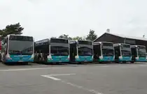 Sechs SVM Mercedes Benz Citaro C1 Facelift am 24.05.15 in Maintal beim Tag der Offenen Tür