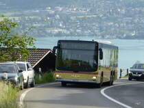 STI - MAN Lion`s City  Nr.131  BE  801131 unterwegs auf der Linie 25 in Sigriswil am 12.05.2015