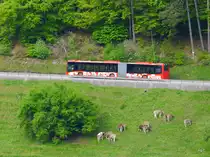 ChurBus - Mercedes Citaro GR 155850 unterwegs bei Reichenau am 07.05.2015