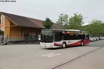 RVBW Nr. 84 (MAN A21 Lion's City) am 19.5.2015 beim Bhf. Wettingen