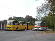 Ikarus 280 - C NV 264 - Wagen 335 (links) u. Ikarus 260 - C NV 260 H (rechts) - in Chemnitz, Rottluff, Wendeanlage - am 5-Oktober-2014 --> Fotosonderfahrt