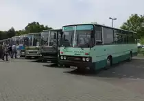 Ein Ikarus 256 aus Ungarn und viele Andere, beim 4.Ikarus Treffen am 16.5.15 in Bad Belzig