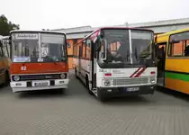 2 Ikarus aus Chemnitz und Erfurt, beim 4.Ikarus Treffen am 16.5.15 in Bad Belzig