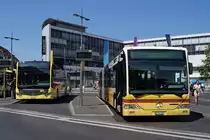 STI: Am 16. Juli 2015 wurde auf dem Bahnhofplatz Thun die Begegnung  alter Mercedes CITARO mit altem Anstrich - neuer Mercedes CITARO mit neuem Anstrich  verewigt.
Foto: Walter Ruetsch 