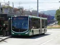 BVB Mercedes Benz Citaro C2 G 7010 am 25.07.15 in Basel