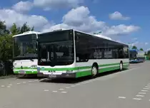 PM-E 298 - MAN Lions City Ü in Bad Belzig am 02.07.15