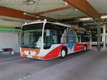 PM-E 248, neu als Freiwilligendienst PM Rettungsbus, in Bad Belzig am 07.07.15