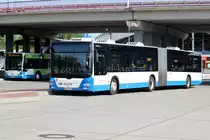MAN Lion's City und Mercedes Citaro I waren am 02.08.2015 abgestellt am Haltepunkt Rostock L�tten Klein.