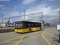 Postauto/PU Schuler SZ 69121 (MAN A21 Lion's City) am 8.7.2015 beim Bhf. Pfäffikon SZ