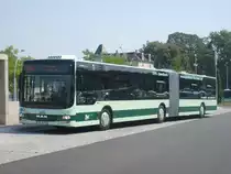 MAN NG 363 Lion´s City GL - PIR OV 191 - Wagen 191 - in Pirna, ZOB / Bahnhof - am 11-August-2015