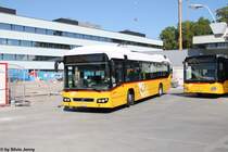 Postauto/PU SteinerBus Nr. 8 (Volvo 7700 Hybrid) am 3.8.2015 beim Bhf. Bern