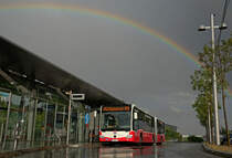 Wiener Linien NG 265 MB (Citaro 2 G Euro 6) Wagen 8794 als Linie 74A in St. Marx nach einen kurzen starken Gewitter 