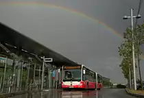 Wiener Linien NG 265 MB (Citaro 2 G Euro 6) Wagen 8794 als Linie 74A in St. Marx nach einen kurzen starken Gewitter 