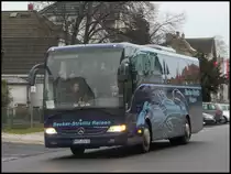 Mercedes Tourismo von Becker-Strelitz Reisen aus Deutschland in Bergen am 12.11.2013