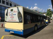 FART-Solaris Urbino NR.82 steht an der Haltestelle am Bahnhof Locarno, am 27.7.15