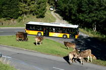 Ein MAN Lion's City Postauto auf dem Kurs 60.344 Langis - Sarnen unterhalb von Langis; 13.09.2015