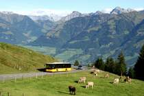 Ein MAN Lion's City Postauto auf dem Kurs 60.344 Sarnen - Langis unterhalb von Langis; 13.09.2015