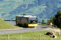 Ein MAN Lion's City Postauto auf dem Kurs 60.344 Sarnen - Langis unterhalb von Langis; 13.09.2015