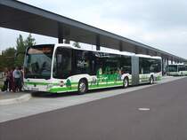 MB O 530 C2 G Ü - PM E 241 - in Brandenburg, ZOB am Hauptbahnhof - am 11-September-2015