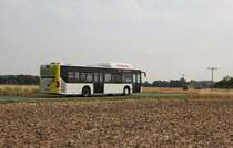 11.8.2015 bei Osterwieck. Mercedes Citaro mit Erdgas-Antrieb