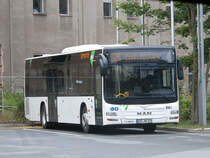 Wagen 13-8859 MAN Lion´s City Ü - EURO VI - in Chemnitz. (14.7.2015)