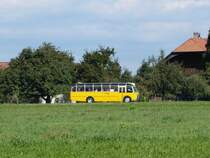 Postauto -  Oldtimer FBW  BE  95952 unterwegs auf  einer Extrafahrt bei Elisried am 12.09.2015