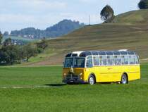 Postauto - Oldtimer FBW BE 95952 unterwegs auf einer Extrafahrt bei Elisried am 12.09.2015
