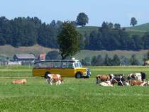 Postauto - Oldtimer Saurer  BE 384448 unterwegs auf einer Extrafahrt bei Elisried am 12.09.2015