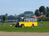Postauto - Oldtimer Saurer  BE 384448 unterwegs auf einer Extrafahrt bei Elisried am 12.09.2015