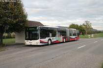 RVBW Nr. 170 (MAN A23 Lion's City G) am 28.9.2015 in Würenlos, Bettlen