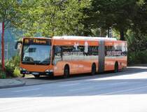 HHA 7345- MB O 530 II G, Brandstwiete am 1.8.15