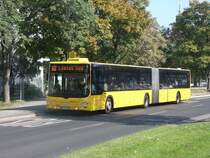 MAN NG 393 Lion´s City GL - DD VS 1606 - Wagen 930 606  Sabine  - in Dresden, Budapester Straße - am 5-Oktober-2015