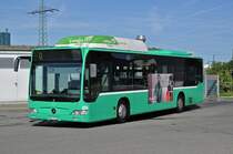 Mercedes Citaro 808 steht am auf dem Hof der Garage Rankstrasse. Die Aufnahme  stammt vom 26.08.2015. 