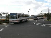 Scania Bus in Funchal
