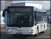 MAN Lion's City von Regionalbus Rostock in Rostock am 12.02.2014