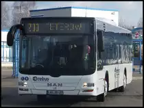 MAN Lion's City von Regionalbus Rostock in Rostock am 12.02.2014