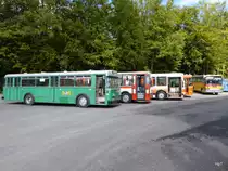 Bustag 2015 - Oldtimer FBW Nr.75 (ex BVB) in Burgdorf am 04.10.2015