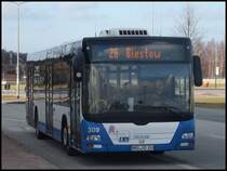 MAN Lion's City der Rostocker Stra�enbahn AG in Rostock am 12.02.2014