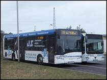 Solaris Urbino 12 und Mercedes Citaro II der RPNV in Sassnitz am 16.03.2014