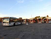 MB-CITARO(8105)in der Haltestelle ROMA-Anagnina; 151023