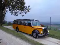 ex Postauto - FBW  BE 17050 unterwegs auf Extrafahrt oberhalb der Gemeinde Detligen am 23.10.2015