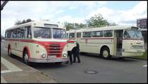 IFA H6B und Ikarus 66 der Rostocker Stra�enbahn AG in Rostock am 13.04.2014